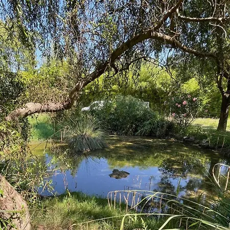 Moulin De Fabregon Trans-en-Provence